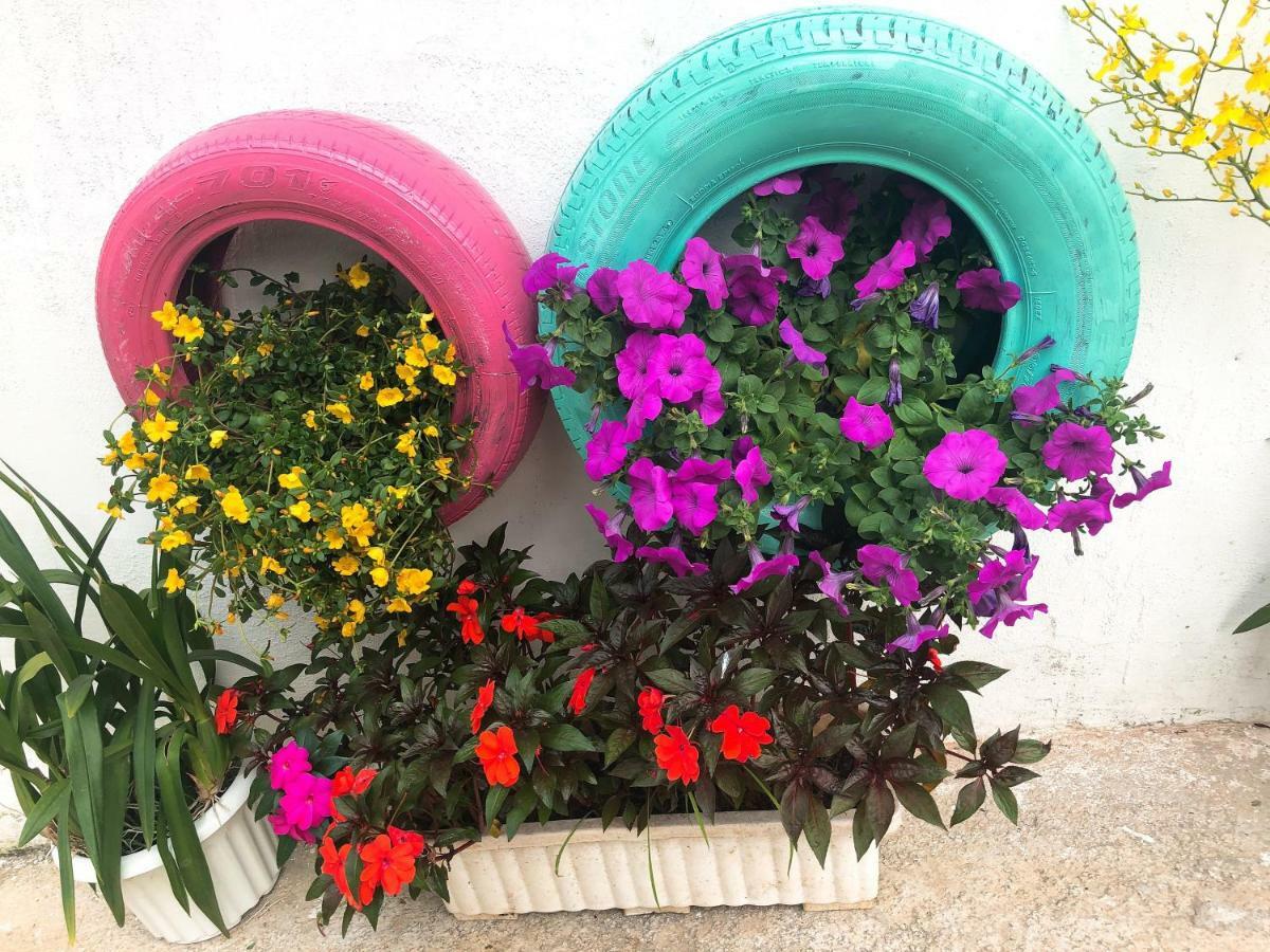 Thu Linh Guesthouse Da Lat Buitenkant foto